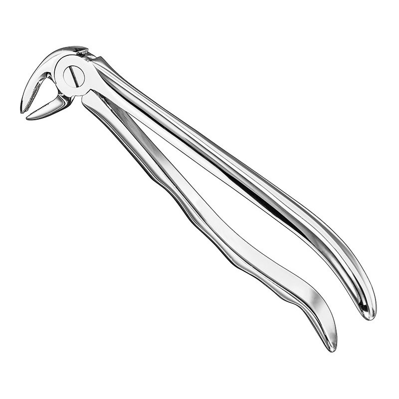 Extracting forceps, anat.