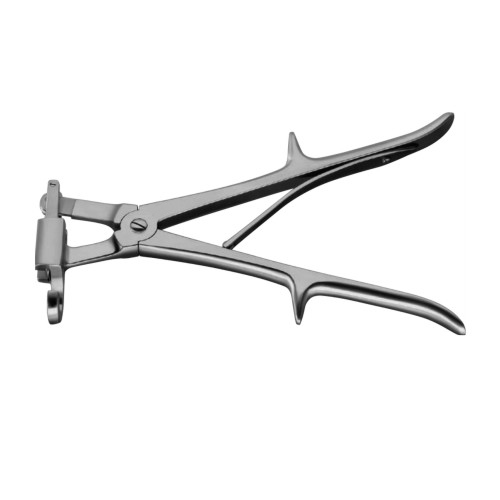 Sauerbruch Rib Shear