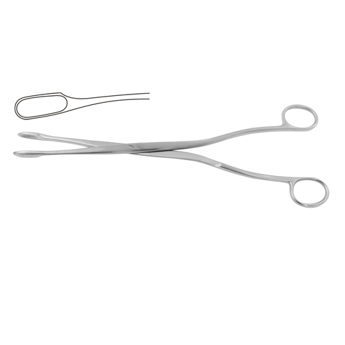 Placenta and Ovum Forcep