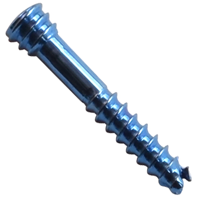 All Types Of Screws